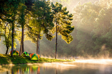Wall Mural - morning in pang oung with the light and shadow and steam over the lake in meahongson,thailand