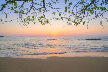 Wall Mural - sunset in sea on a beach