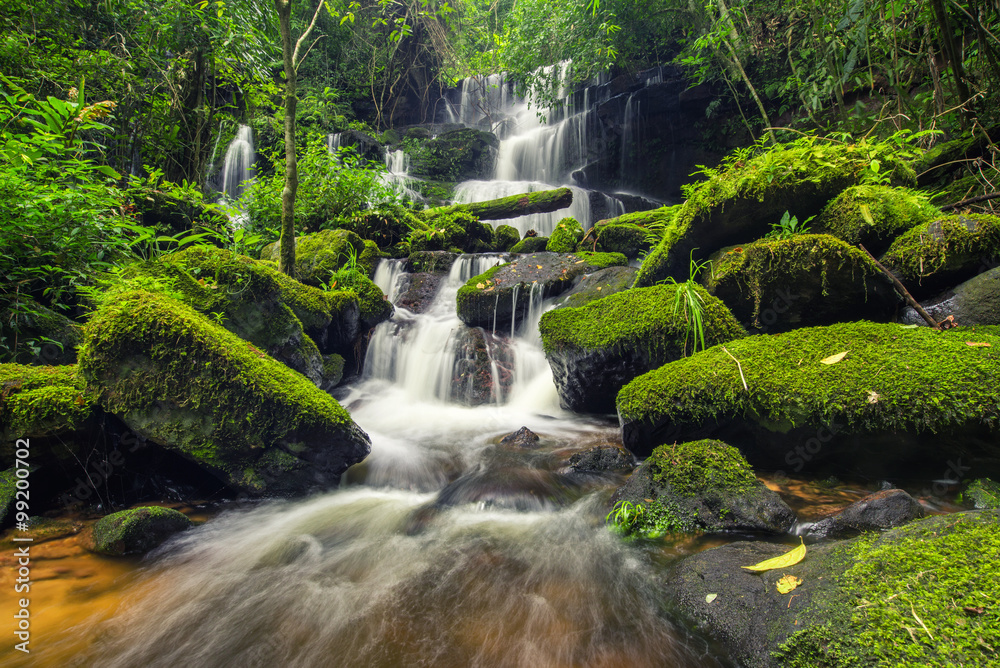 beautiful waterfall in green forest in jungle at phu tub berk mo - obrazy, fototapety, plakaty 