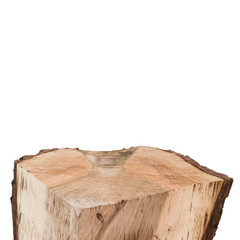 Wall Mural - top of stump log