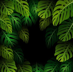 Wall Mural - Exotic pattern with tropical leaves on a black background