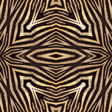 Abstract Animal Zebra Seamless Background