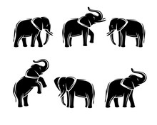 Elephant Set. Vector