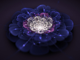 Poster - Fractal flower