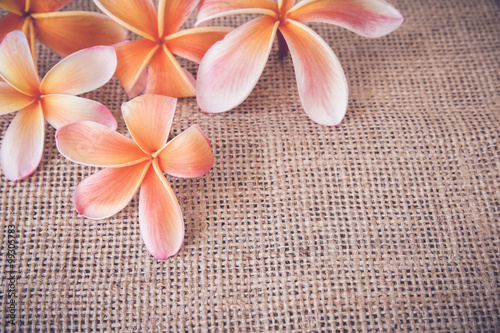 Plakat na zamówienie Plumeria Frangipani flower Table setting copy space background, toning