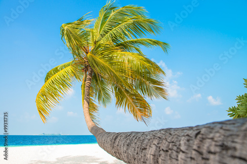 Fotomural Sand beach and ocean wave, South Male Atoll. Maldives