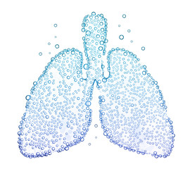 lungs with oxygen bubbles Isolated on white background