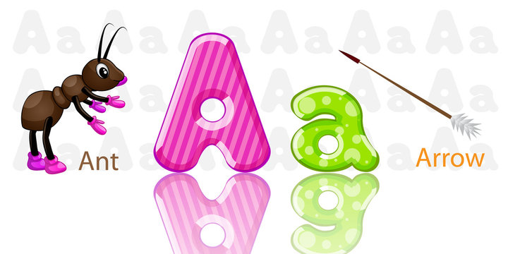 Illustrator of A alphabet