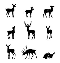 Silhouette Deer On White Background 