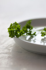 Wall Mural - Organic fresh parsley ready to eat on a white plate, selective focus, closeup