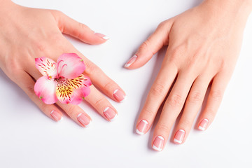 Fotomurales - Beautiful pink freesia with franch manicure.