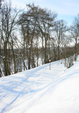 Fototapeta  - winter snow-covered path