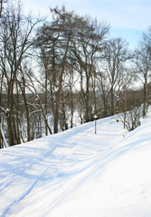 Canvas Print - winter snow-covered path