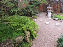 Rocky Garden With Stone Lantern In Japanese Style