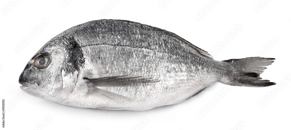 Fresh fish isolated on white background