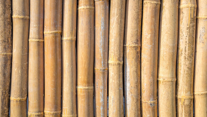  vertical bamboo background