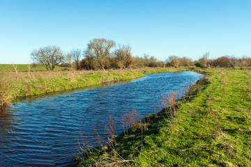 Wall Mural - Narrow stream on a sunny day in a rural area