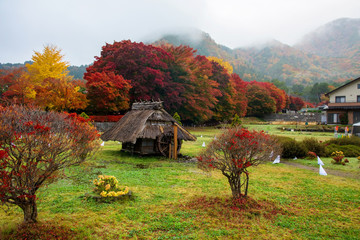 Wall Mural -  maple corridor at autumn, Kawaguchiko