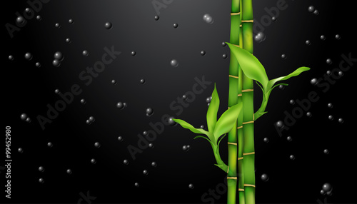 Dekoracja na wymiar  bambus-na-czarno-krople-na-czarno-wektor