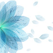 Floral round pattern of blue flower petals