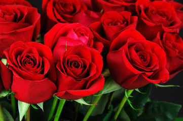 Fotomurales - close up on bouquet of red roses