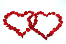 Two Red Hearts By Rose Petals On White Background