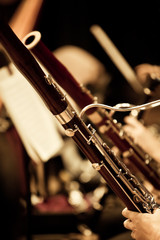 Bassoons in the orchestra closeup