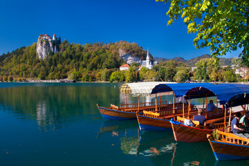 Wall Mural - Traditional wooden boats on lake Bled.