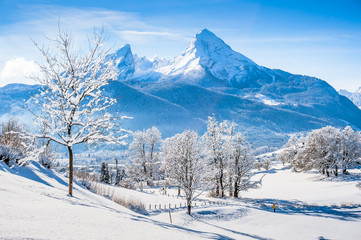 Wall Mural - Winter wonderland in the Alps with trail