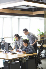 IT workers working in office