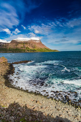 Wall Mural - Arctic sea and coastline in Iceland