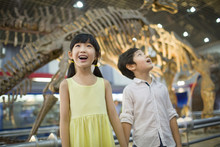 Children In Museum Of Natural History