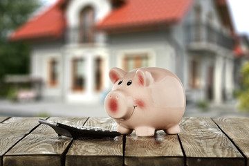 Wall Mural - piggybank 