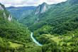 Green hills and mountain river. Natural landscape, Montenegro