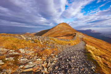 Wall Mural - mountain trail