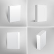 © mileswork - Set of blank white packaging boxes for software design