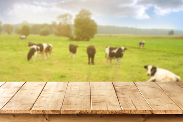 Wall Mural - cows and wooden space 