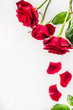 Red roses with petals on white wooden background, top view. Valentines day card. Place for text