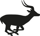 Running antelope
