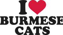 I Love Burmese Cats