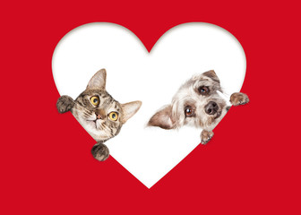 Wall Mural - Cute Cat and Dog Peeking Out Of Cutout Heart