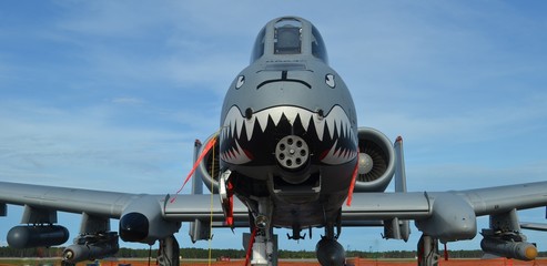 Wall Mural - A-10 Warthog Attack Jet