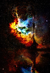 Fototapete - Viking Boat and tiger head  in space with stars, computer collage, Boat with wood dragon.