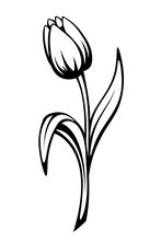 Black Contour Of A Tulip Flower. Vector Line Art Illustration.