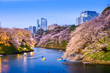 Tokyo Imperial Moat in Spring