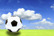 soccer ball in fresh green summer or spring field grass with a b