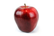 single red apple on white background