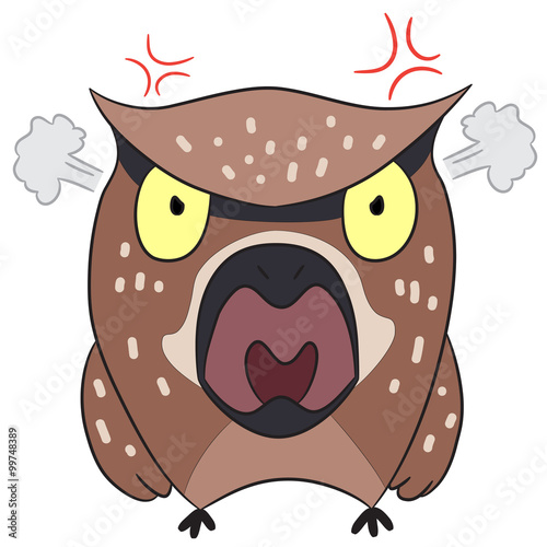 Fotografie, Tablou vector cartoon character owl angry