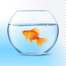 Goldfish In Water Bowl Realistic Image