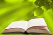 Book opened and Green Leaves